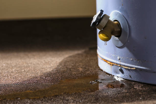 Best Local water damage restoration  in Fox Lake Hls, IL