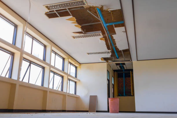 Best Flood restoration services  in Fox Lake Hls, IL