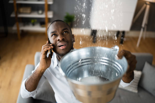 Best Professional water damage repair  in Fox Lake Hls, IL