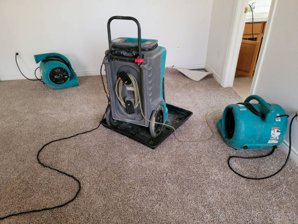Best Basement water damage restoration  in Fox Lake Hls, IL