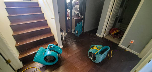 Best Water damage contractors near me  in Fox Lake Hls, IL