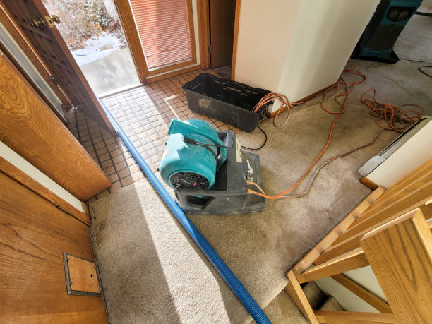 Best 24/7 water damage repair  in Fox Lake Hls, IL