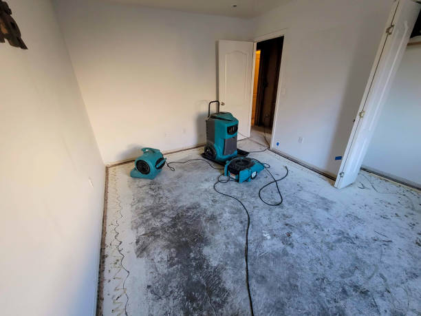 Best Ceiling water damage repair  in Fox Lake Hls, IL