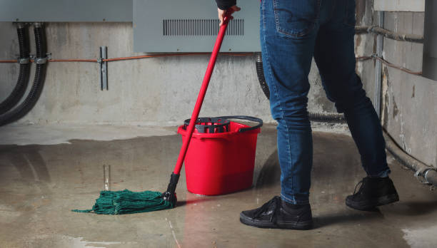 Best Sewage cleanup and water damage restoration  in Fox Lake Hls, IL