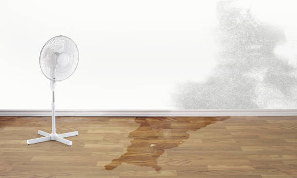 Best Emergency water damage restoration  in Fox Lake Hls, IL