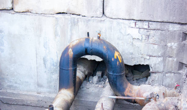 Best Carpet water damage restoration  in Fox Lake Hls, IL